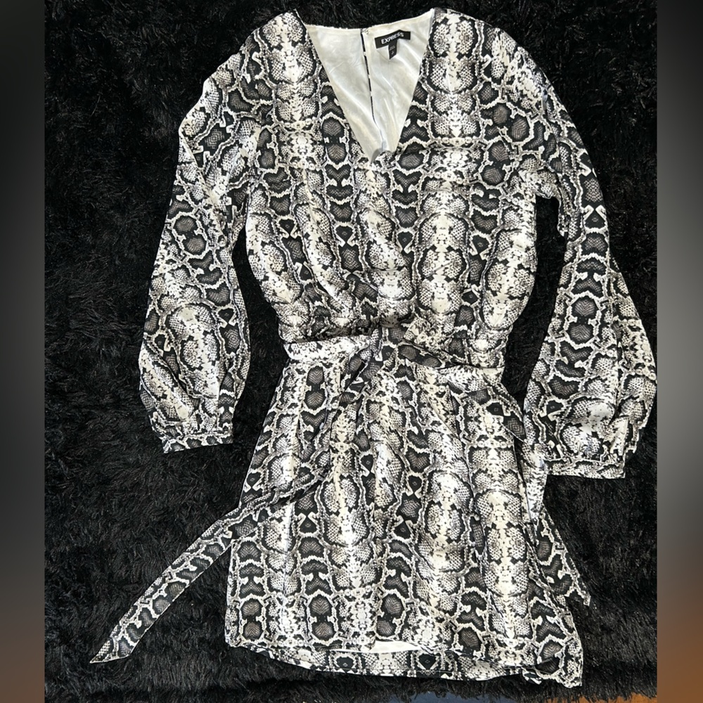 Express Snake Print Dress - Picture 4 of 6